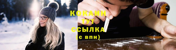 индика Данков