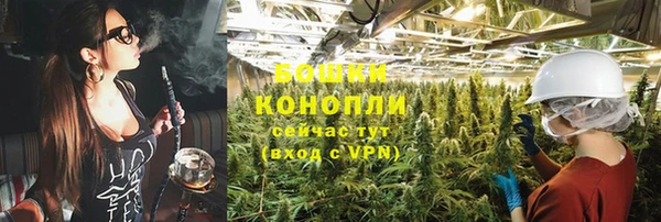 прущая мука Иннополис