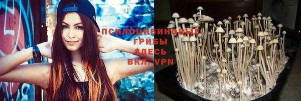 прущая мука Иннополис