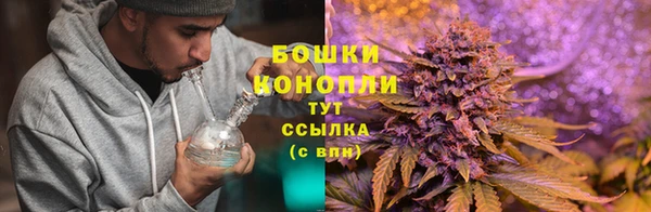 ПСИЛОЦИБИНОВЫЕ ГРИБЫ Инта