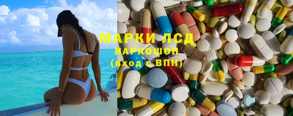 ПСИЛОЦИБИНОВЫЕ ГРИБЫ Инта