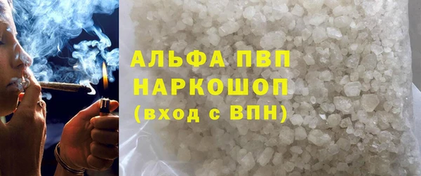 ПСИЛОЦИБИНОВЫЕ ГРИБЫ Инта