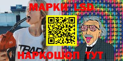 СК Бийск