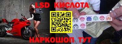 СК Бийск