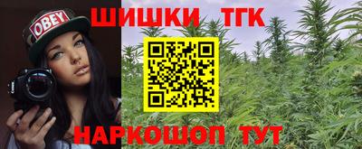СК Бийск