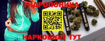 СК Бийск