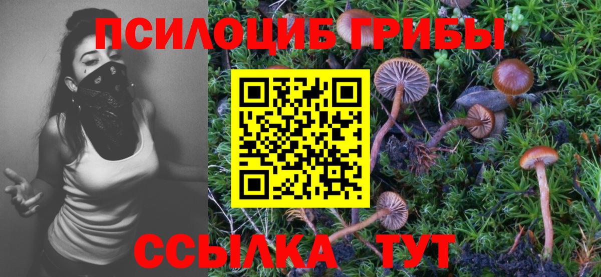 Псилоцибиновые грибы мицелий  Вход с VPN  Каменка 