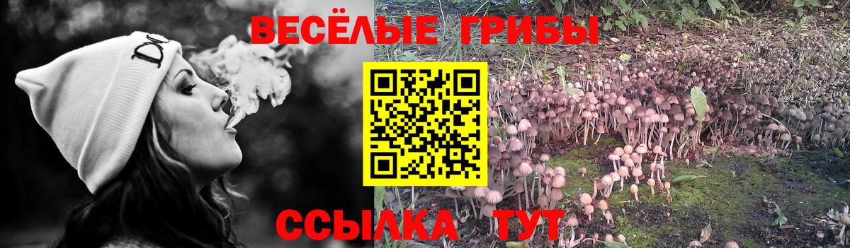 Alpha PVP СОЛЬ кристаллы  Вход с VPN  Каменка  ЭКСТАЗИ  Меф   ГАШ  Меф  Бошки Шишки 